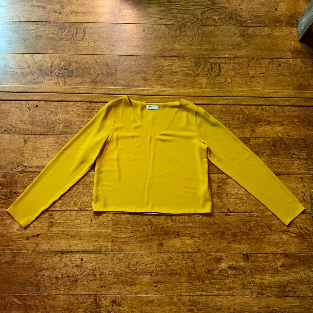 Aritzia Babaton Blouse S